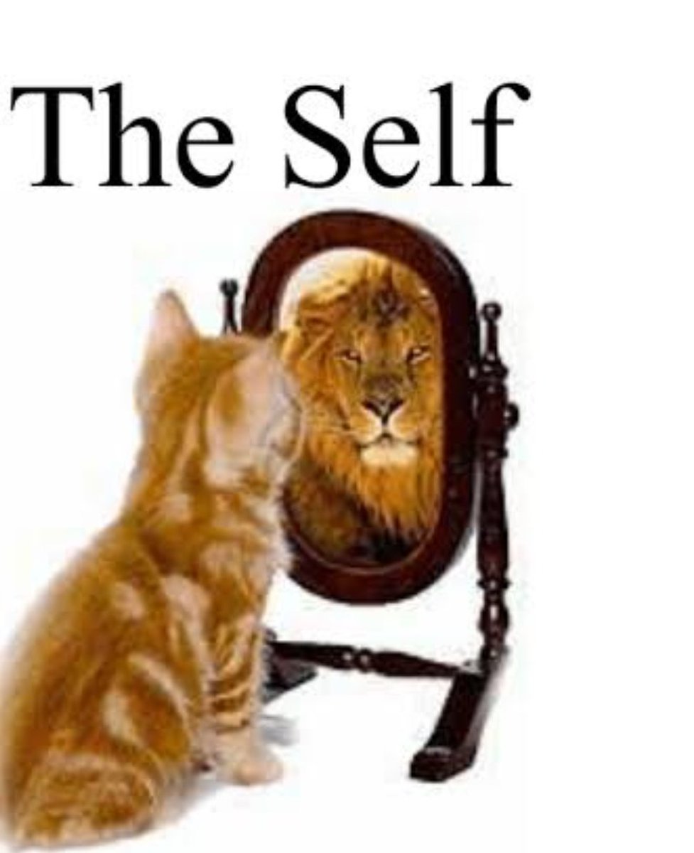 #reflections 2020 came with days , hours , seconds full of challenges for many. It made us think out of box, fostered creativity, made us sit back, reflect, sustain, and what not.  It showed us who we are and what's our SELF CONCEPT.