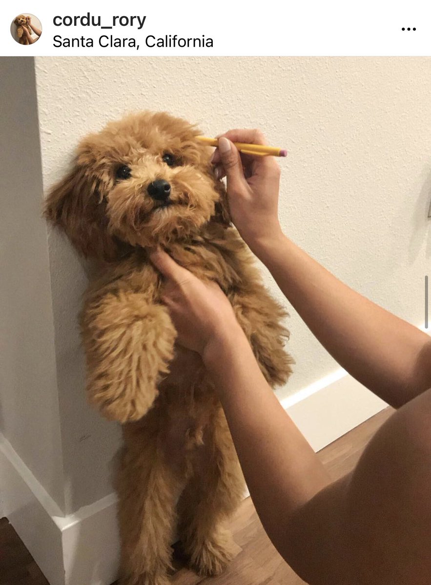 doodlesoftheworld tweet media