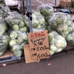 キャベツ好きにはたまらないかも？!とんでもない野菜の売り方をしていたお店が話題に!