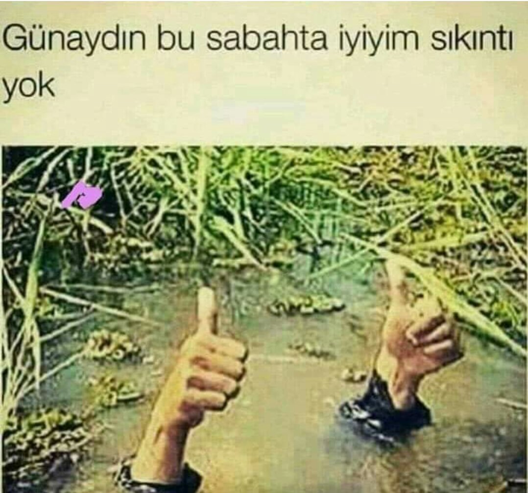 MahirBahar's tweet photo. Günaydın Güzel insanlar 🙏🙏 https://t.co/g7XyWFqWcT