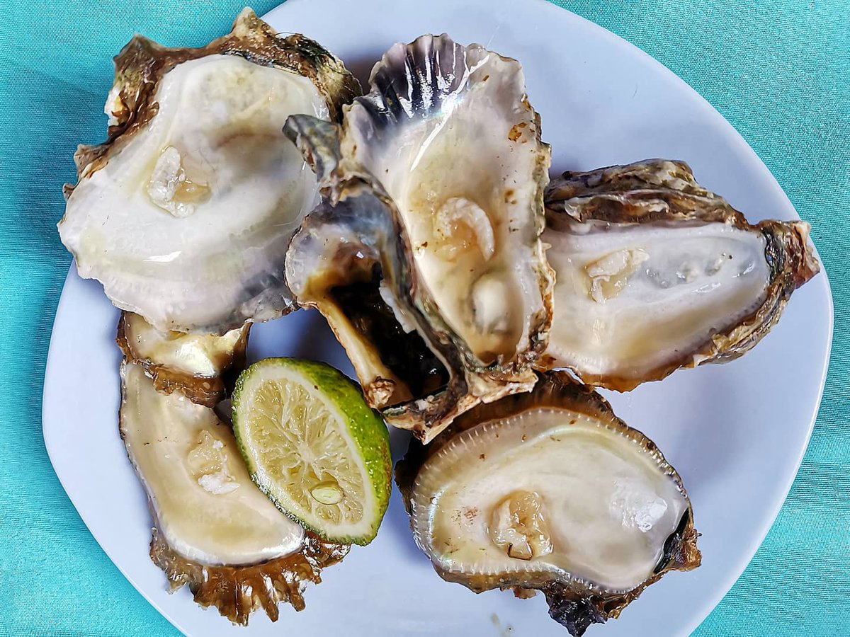 FishTamtam's tweet image. Well.. Game over. Untill next time. Someone let me know if i did it right 👀

#firsttimeforeverything