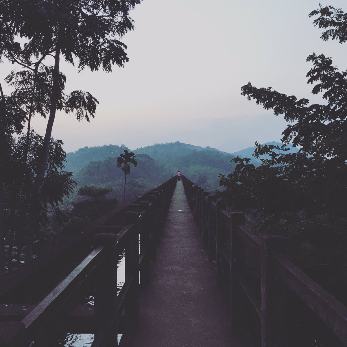 Mathur Hanging Bridge, Kanyakumari, Tamilnadu, India #kanyakumari #nagercoil #evergreen #mathur #foggy #foggymorning #foggyweather #winter #winters #tamilnadu #tamilnaduphotography #tamilnadutourism #kanyakumari_tourism #kanyakumarimemes #kanyakumaribeach