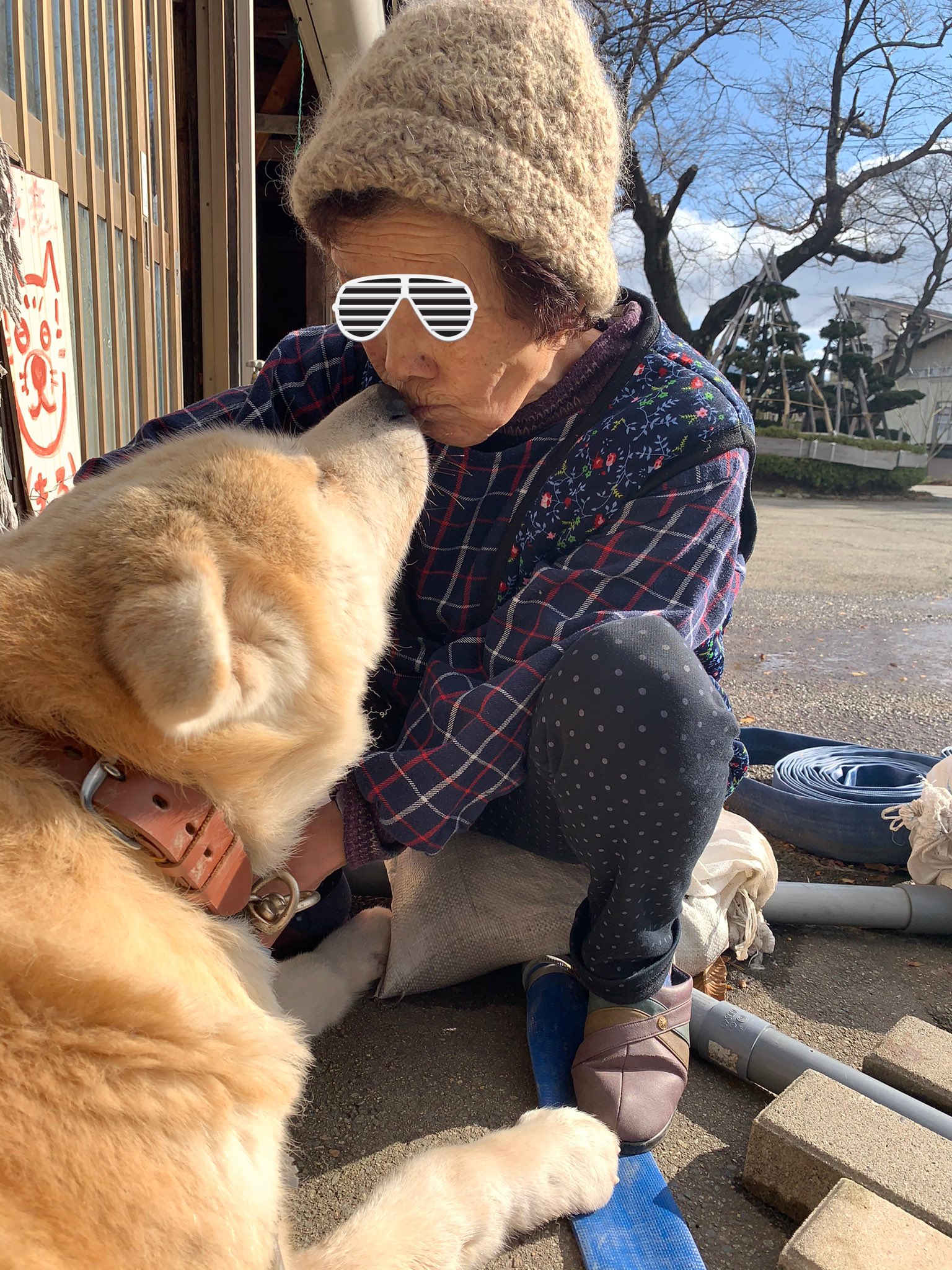 秋田犬まる おばあちゃんと犬 秋田犬 秋田犬まる Akitainu ちょっとしたカレンダー写真ですか T Co Idpxphhivb Twitter