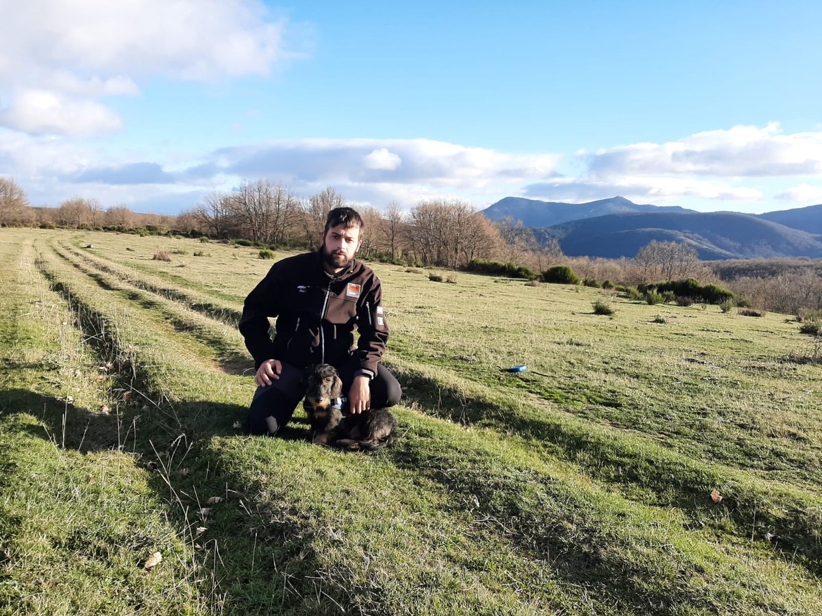 Viajar es disfrutar es vivir cada día como si fuera el último #vacaciones #pozolaslomas #chozo #senderos #piedrasluengas #rutalospantanos #nieve #montañapalentina #paraiso #paisaje 🗻🏞️🏔️⛰️🌨️❄️