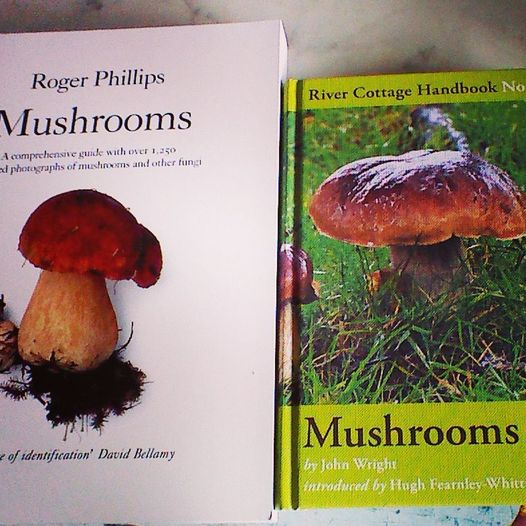 Learn wild mushrooms. Start by building your knowledge. Here's some great mushroom hunting books that got us started.
View books: ow.ly/Hdj650xdxUN