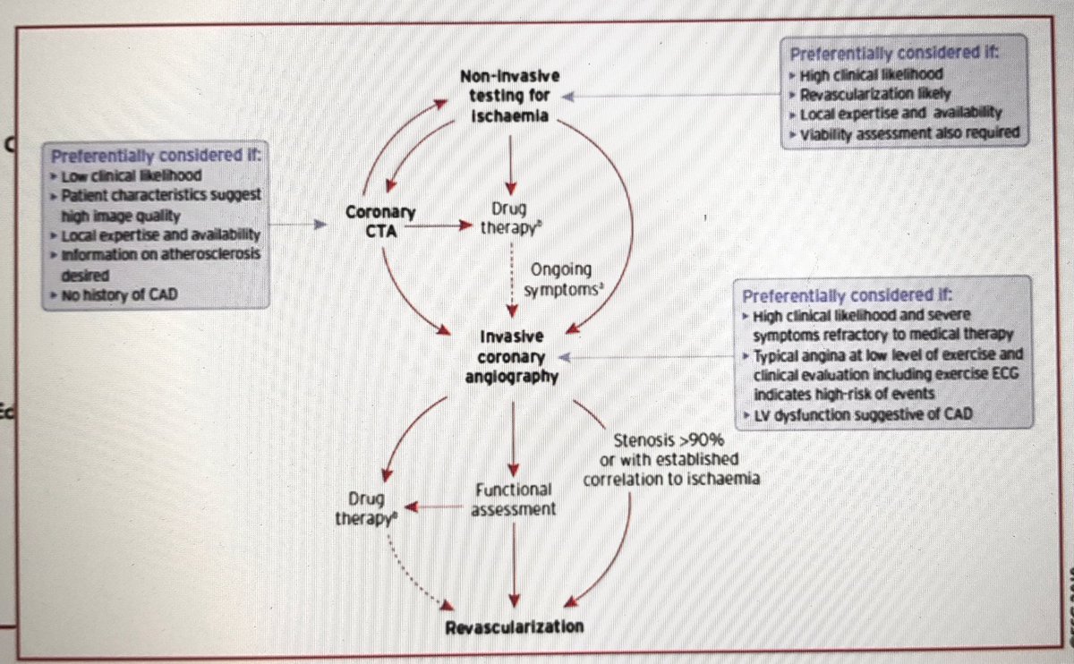  #EACVIBestof2020 The next talk from Prof Jeanette Schulz-Menger largely focussed on CMR and its utility in this setting.