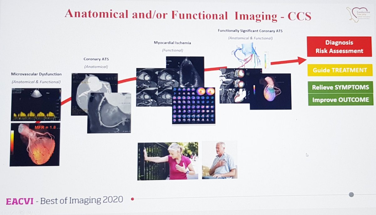  #EACVIBestof2020 Next talk from Dr Danilo Neglia, putting together both function & anatomy. He talked about the differing info you obtain - CT for non-obstructive plaque that can be treated with primary prevention drugs, functional tests for detecting flow-limiting CAD...