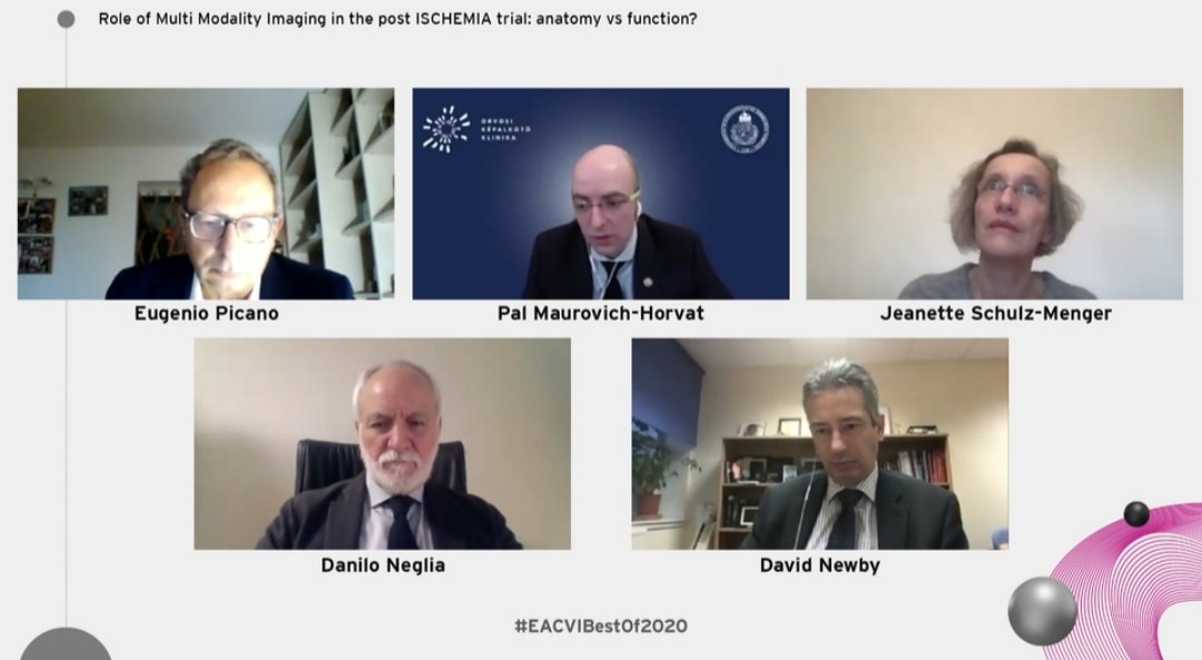  #EACVIBestof2020 Anyway, I digress! After some expert comments from David Newby there was a panel discussion to sum things up...