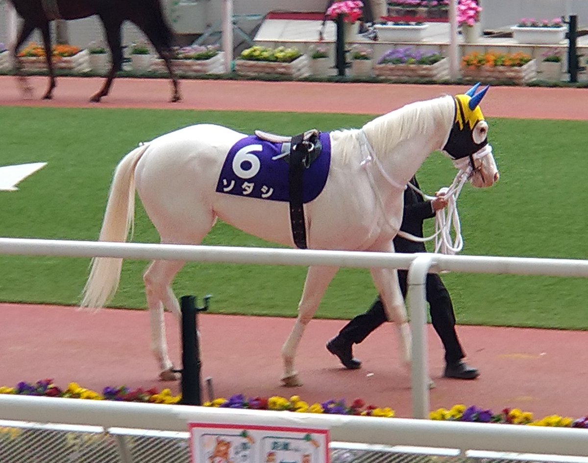 ラッキー ナンバー 競馬 今日 の