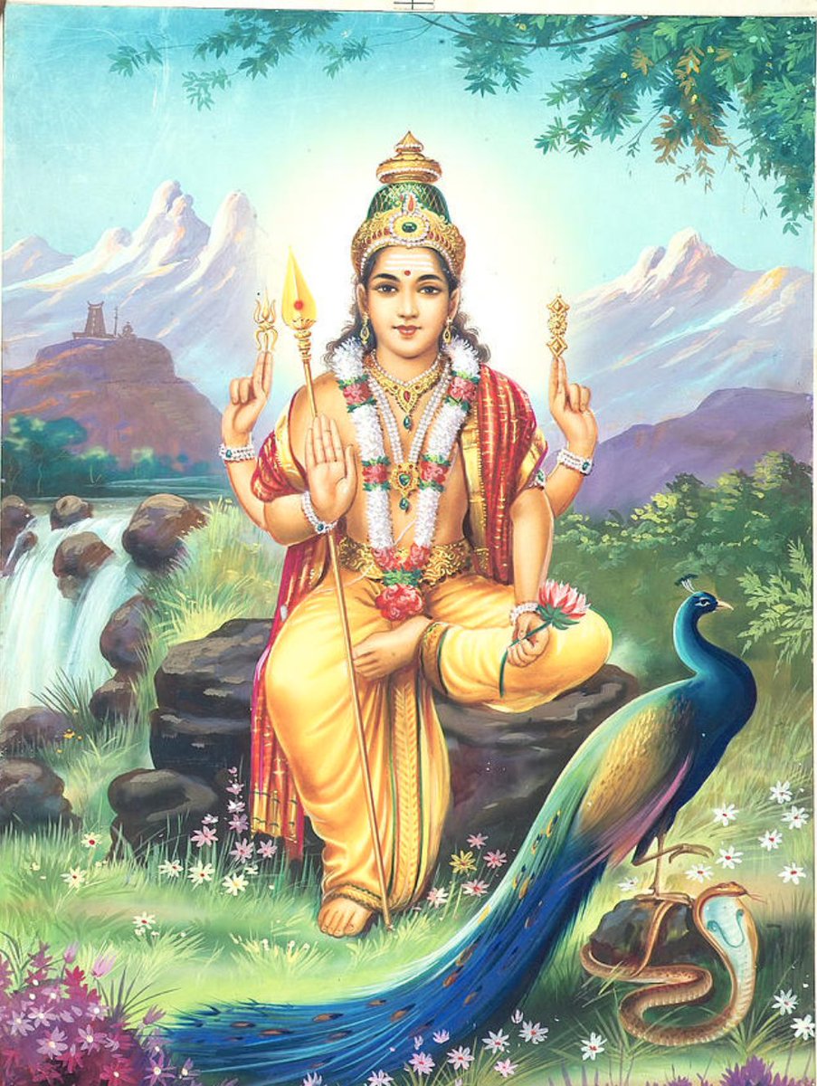 Kartikeya Swami is considered to be the god of snakes. In most common depictions, he is shown to be with his vahana i.e. peacock clutching a snakeThe snake represents the ego. The peacock is just clutching, indicating a control of ego to reach perfectionPC:Google9/