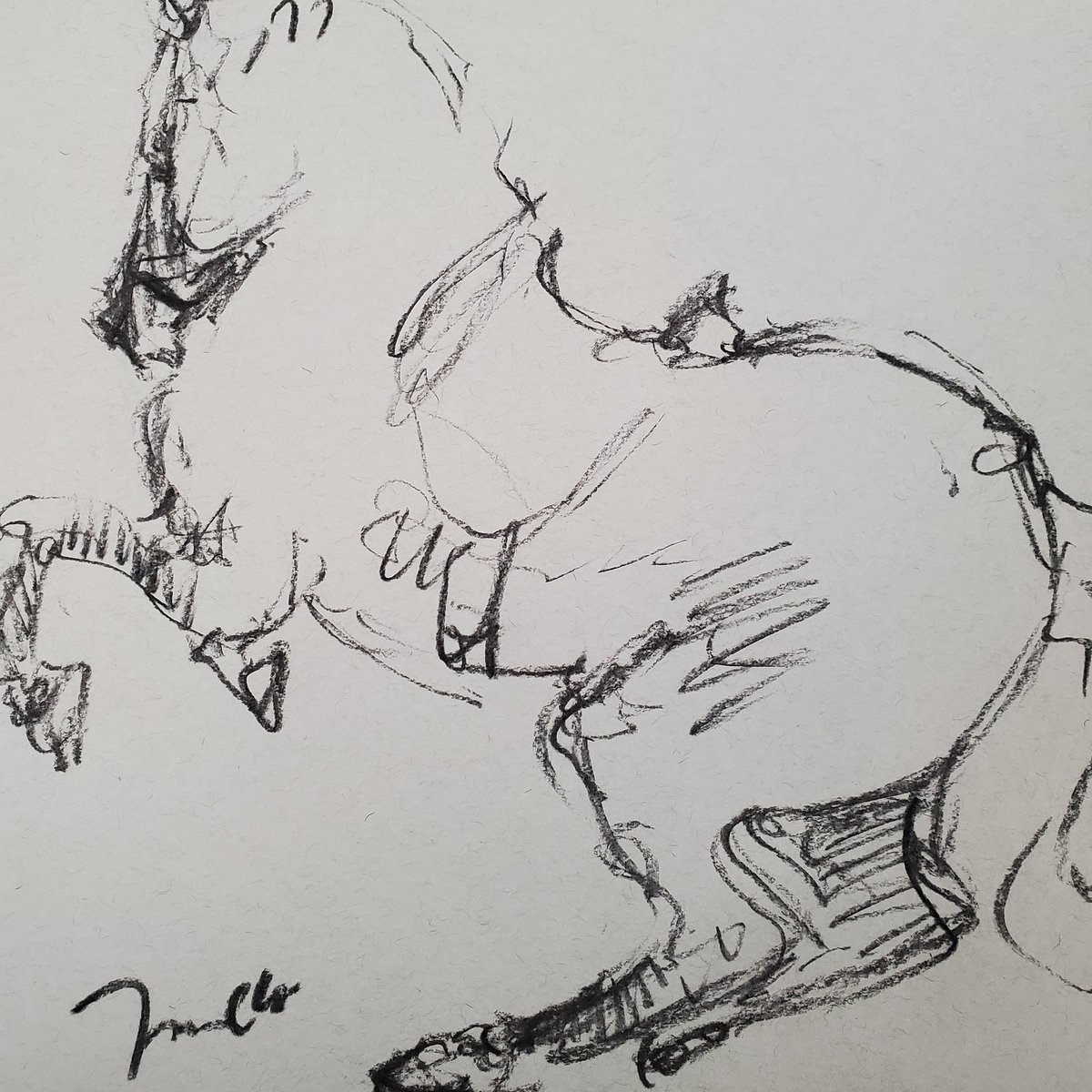 JoseTrujilloArt's tweet photo. Was doing doodles of horses! Hope you enjoy it!
.
#drawing #horse #cuaco #caballo #horsedrawing #horseart #equestrianstyle #caballos #equestrian #ilovehorses #contemporaryartist #artlover #artgallery #collectibles #artist https://t.co/lH1CNCkX0e