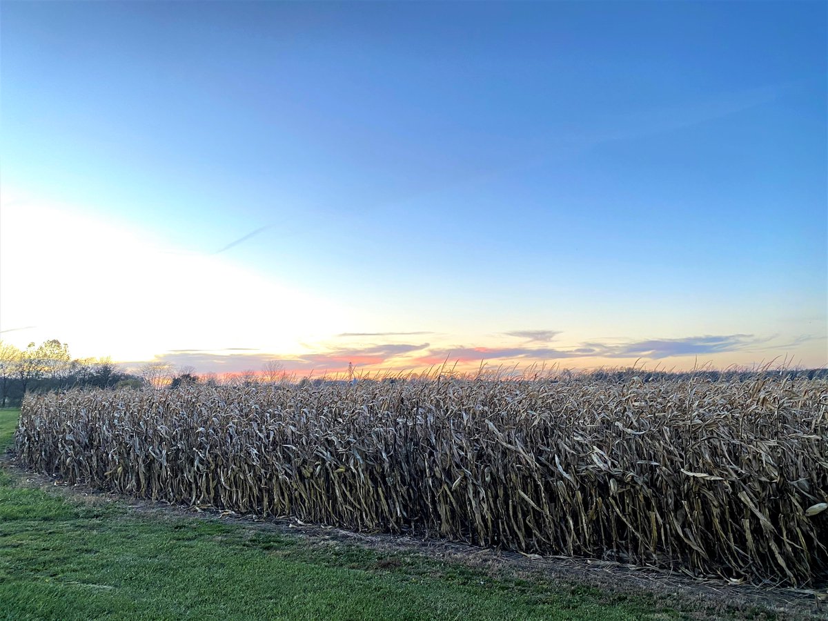 ひろさん 英語ダメで訴訟された10年前 こんばんはですね シンシナの方ですか あの辺も素晴らしいところですよね