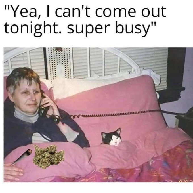 Definitely Me 🤷🏽&zwj;♀️🤷🏽&zwj;♀️🤷🏽&zwj;♀️ https://t.co/xEFW9KaYQZ<a href="/tag/onlyfans"class="tags"><span>#onlyfans</span></a>