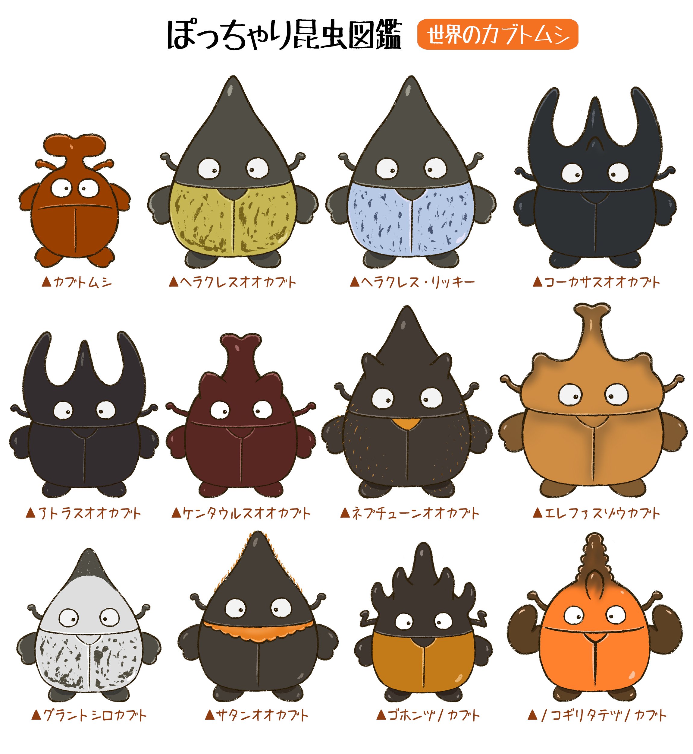 Tweets With Replies By ぽっちゃり昆虫図鑑 略してぽちゃこん Pochakon0093 Twitter