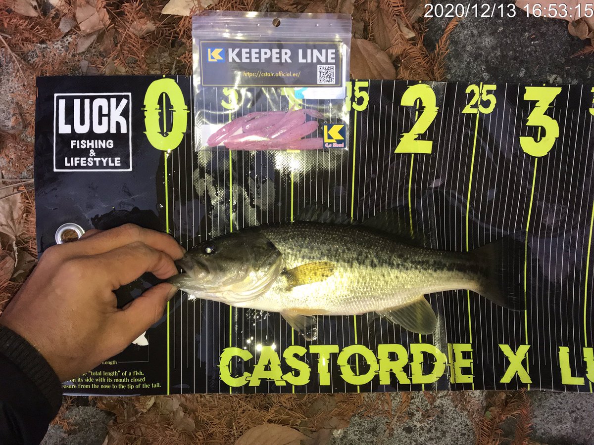 キーパーライン