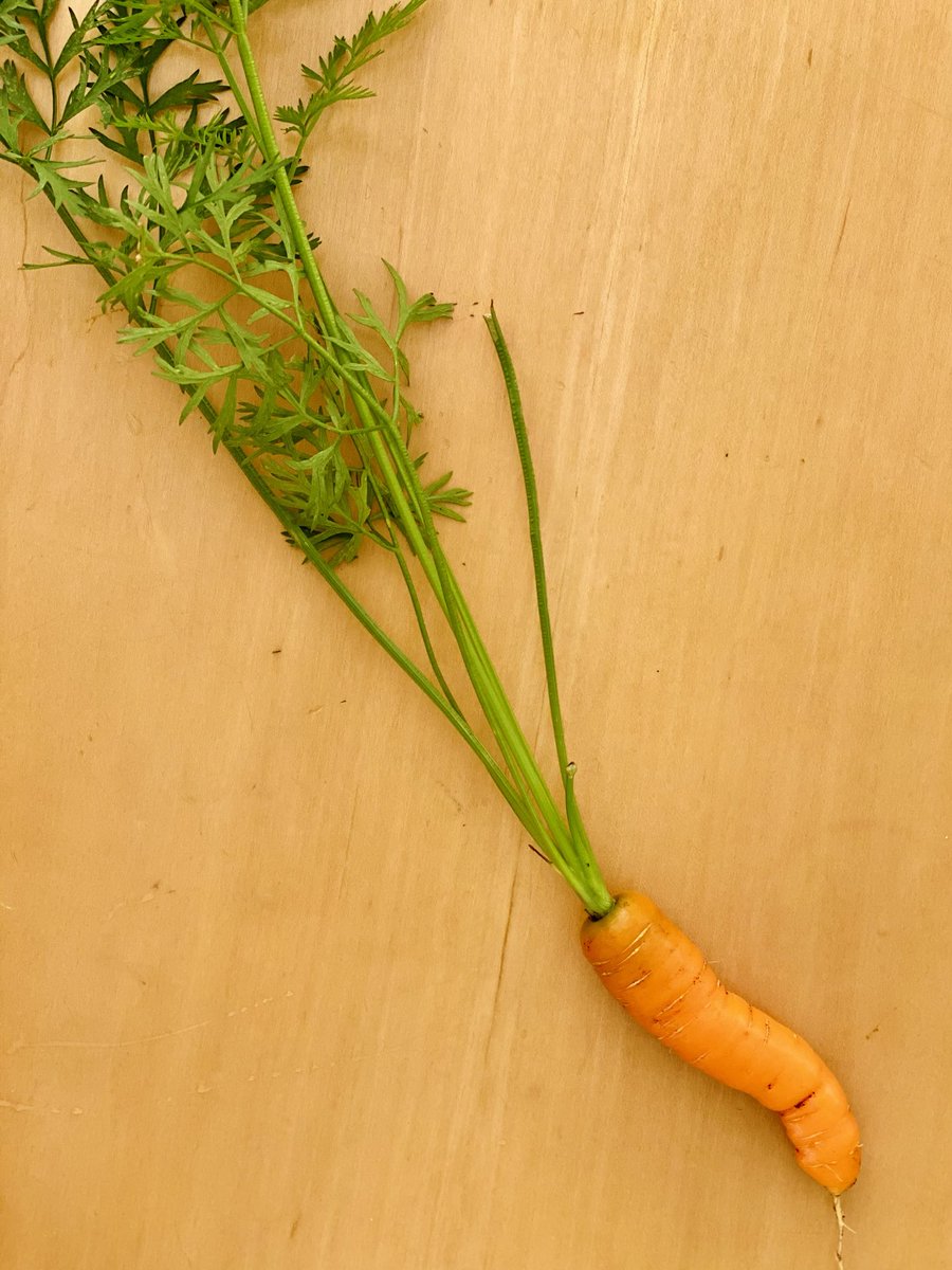 Jeanette M tweet media