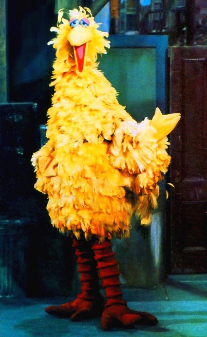 Big Bird, Season 1.
