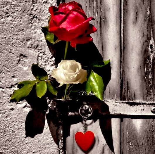 Κάθε εποχή έχει πρόσωπό και κάθε στάση αυτής αποτυπώνεται σε έναν πίνακα,μυστικών,προβλημάτων,εξέλιξης και χαρακτηριστικών των συμπεριφορών της..κι ένας παρατηρητής,κληροδότης και διερμηνεύς της προόδου των ανθρώπων..κάθε εποχή έχει τους ανθρώπους της✍🏼
Καλημέρα σας αγνοί μου💛