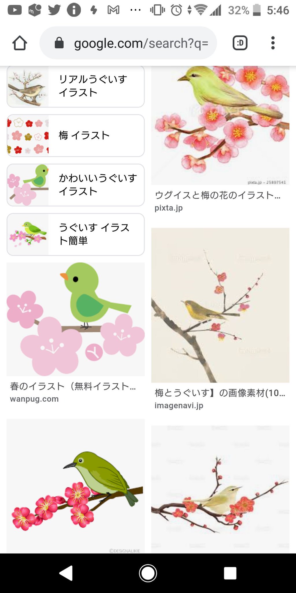 鴣鴣 こっぱみじんこ 梅にウグイス 緑色の鳥が止まっているぅ イラスト検索