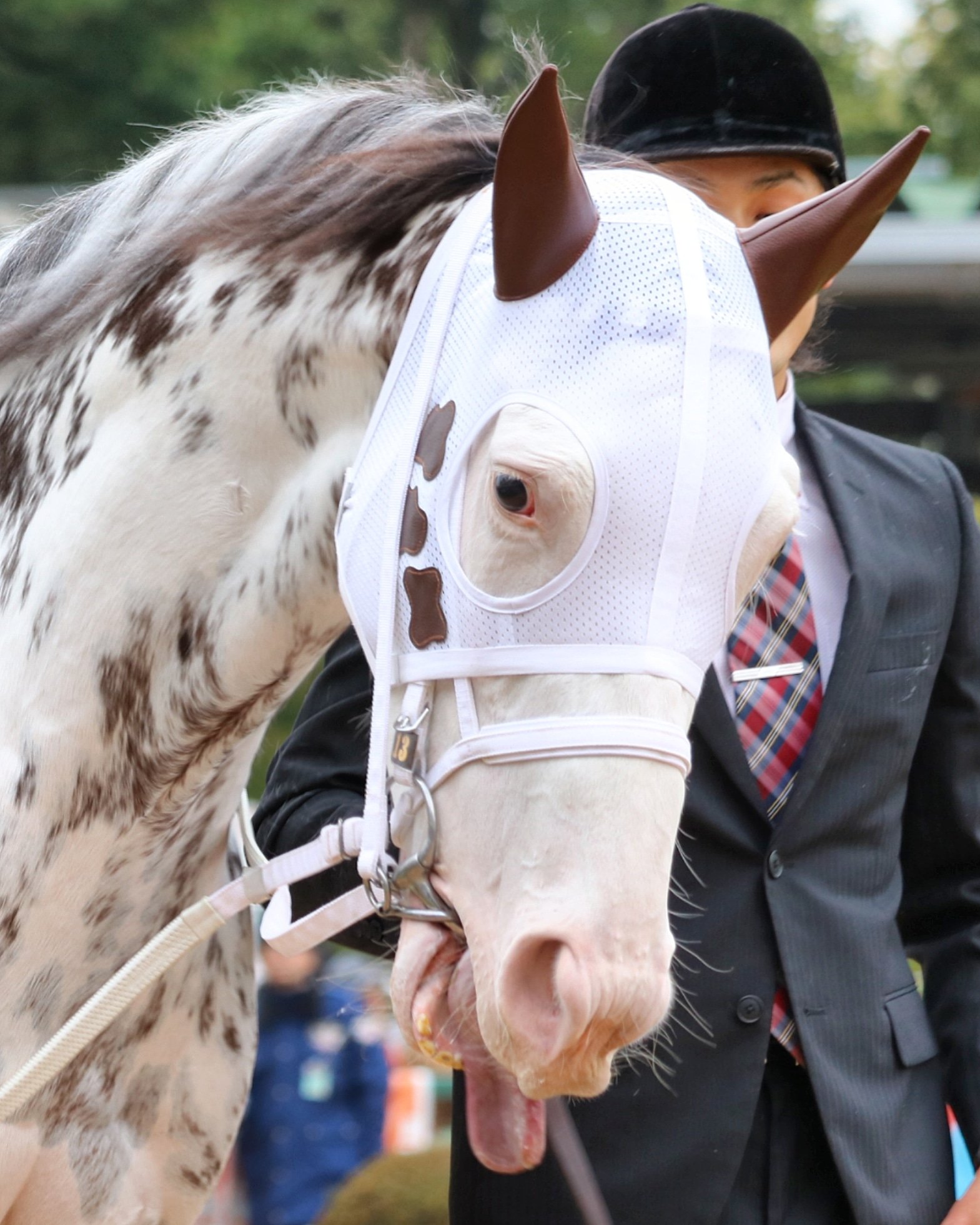 希少品】ブチコ トートバック ソダシの母 競馬 ウマ娘 ぬいぐるみ