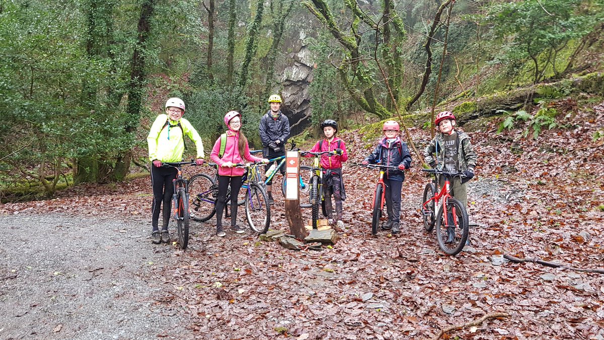 TheMTBCollective tweet media