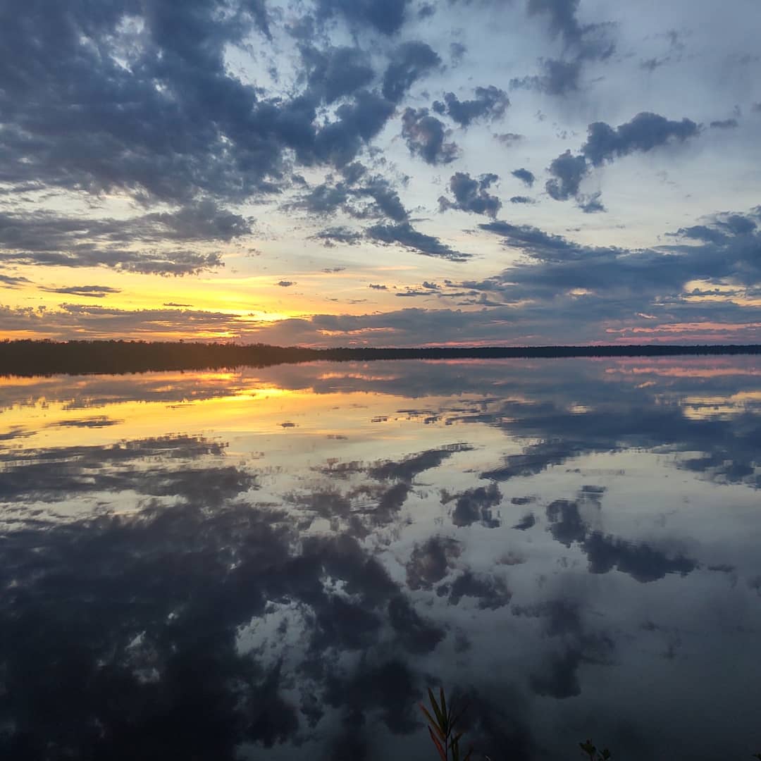 JordanRink's tweet photo. Catfish Lake in the @NFsNCarolina Croatan National Forest. https://t.co/WXWdP3Q9cC