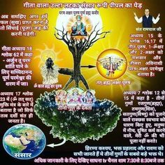 MutkeDas's tweet photo. #GreatestGuru_InTheWorld आदरणीय गरीब दास जी ने परमात्मा कबीर साहेब की मगहर लीला का वर्णन करते हुए कहा था कि👉..देखा मगहर जहुरा सतगुरु, काशी में कीर्ति कर चाले, झिलमिल देही नूरा हों l @Satlok888 https://t.co/LolN57qsFZ https://t.co/VXI38ccAPQ