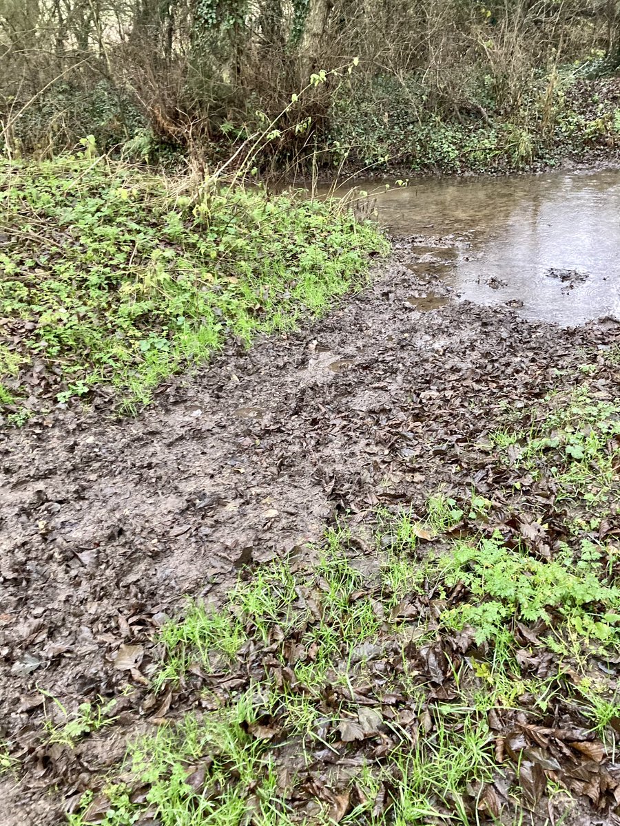 JuliaShacklock's tweet photo. Mud mud glorious mud! Don’t be deceived, that brown colour is a great foil for multiple layers of winter muck 😩 https://t.co/DJHdLlPS01
