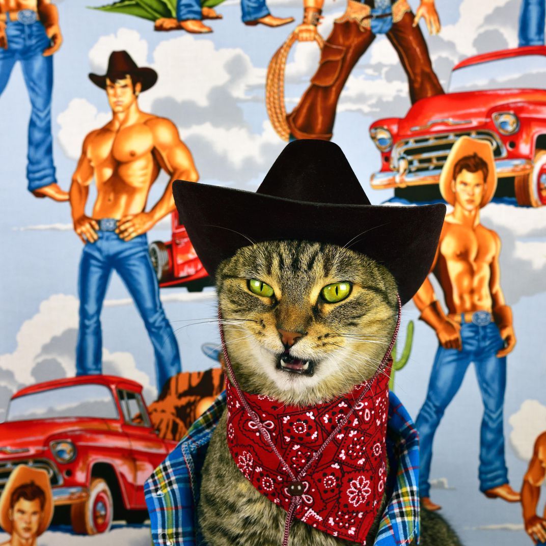 animallegend3's tweet photo. Baba the cat is both storyteller and photographic model in what is perhaps the most unique cat history book ever published https://t.co/Klik4TJtAk