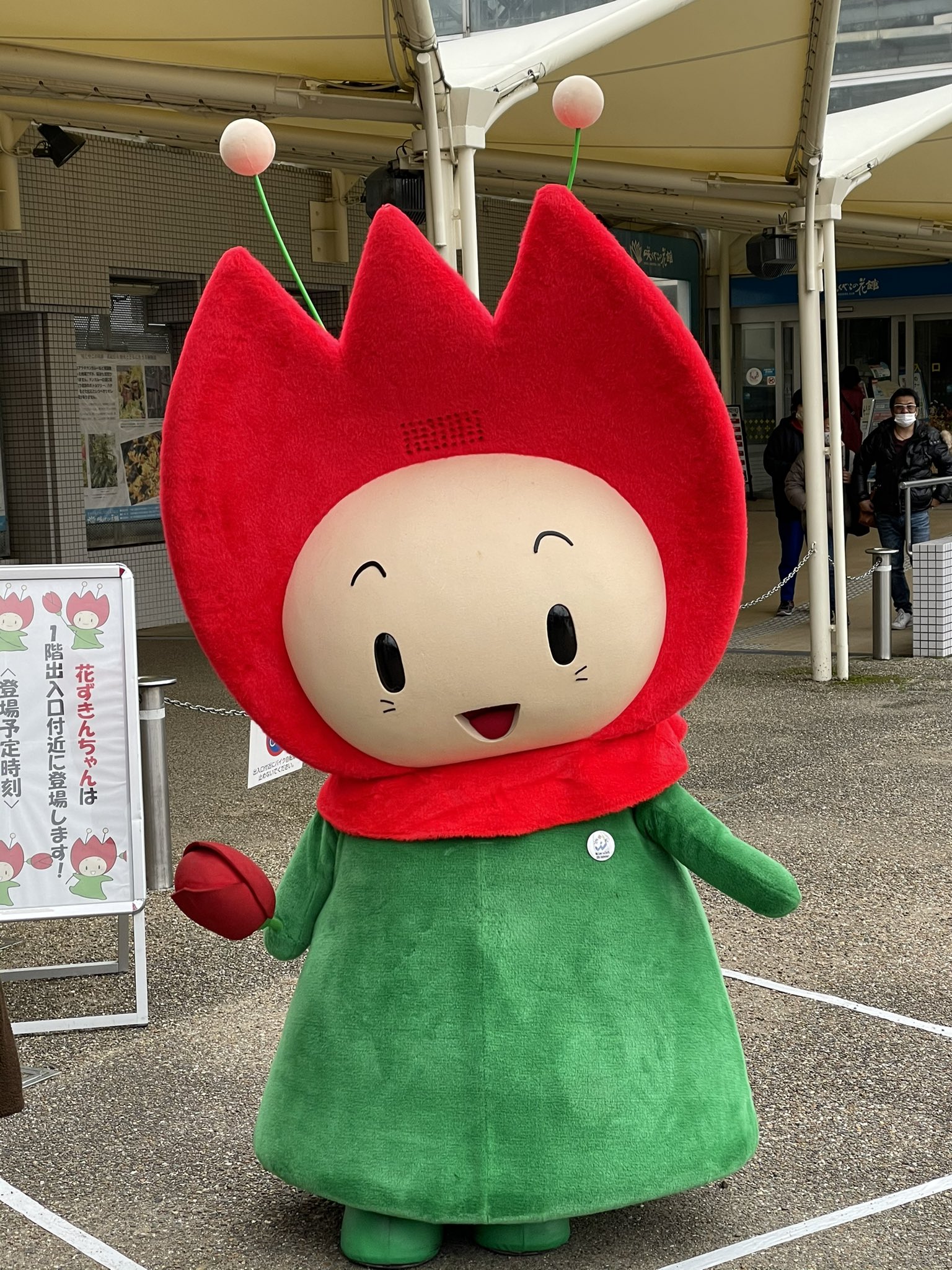 楽天市場】今治タオル フェイスタオル 花柄 フラワー柄 かわいい