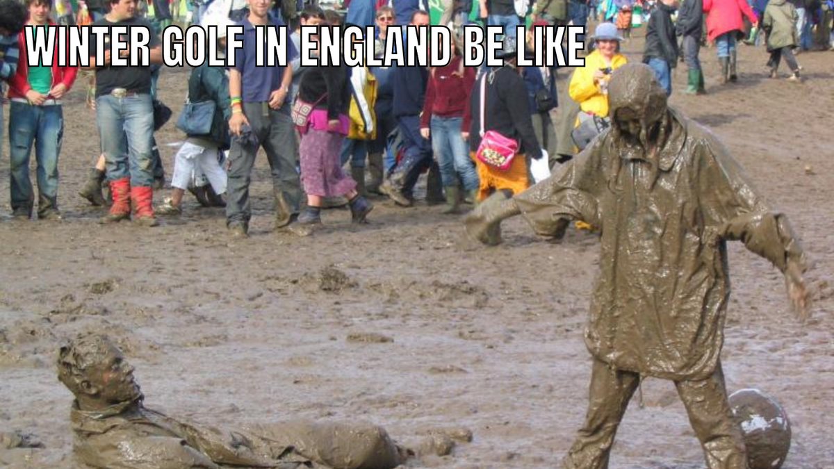 Andrew Terry tweet media