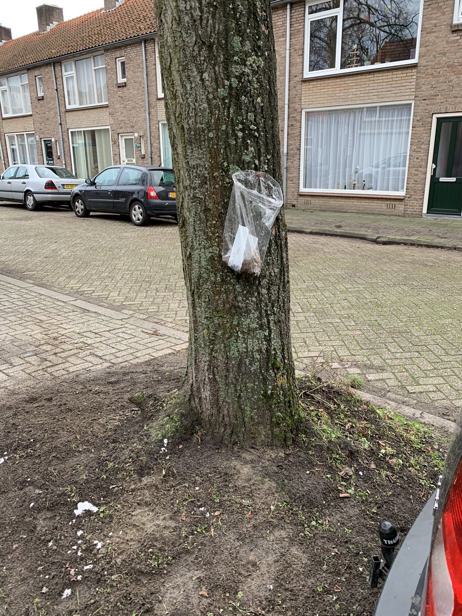 DavevanOpdorp's tweet photo. Buurman (en ik ook) stoort zich al maanden aan de hondenpoep die niet word opgeruimd in t perkje voor de deur! ‘Ze zouden ze aan de hoogste boom  moeten ophangen!’ https://t.co/HnyjSX7381
