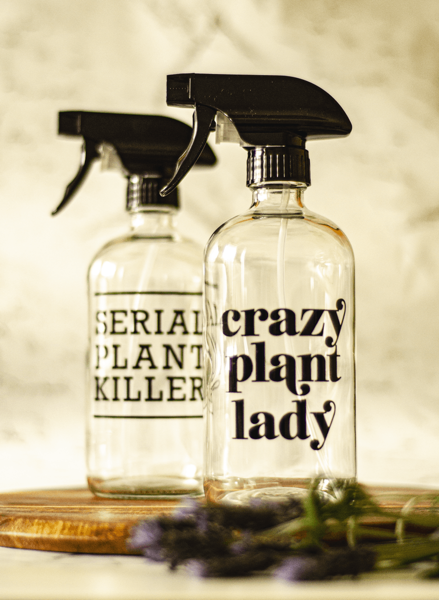 phonamgarcia's tweet photo. Hi NZ friends! I got this side hustle... Here's my shameless plug. For personalized/customizable gifts please visit
https://t.co/8xsV4dEqcY or ididikit.nz@gmail.com
#nzgifts #shoplocalnz #personalizedgiftsnz https://t.co/uVhV0u025a