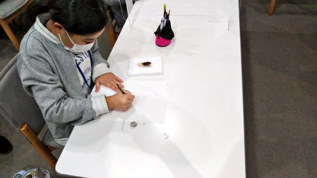 Npo法人 国立市動物調査会 K D Cyousakai Twitter