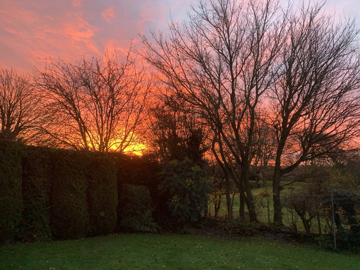 pathfinder1945's tweet photo. Nice view from the garden this morning. https://t.co/e6B8qdQz2e