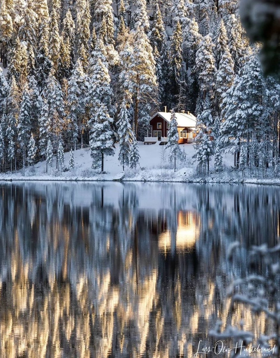 Miep51082958's tweet image. #WinterReflections