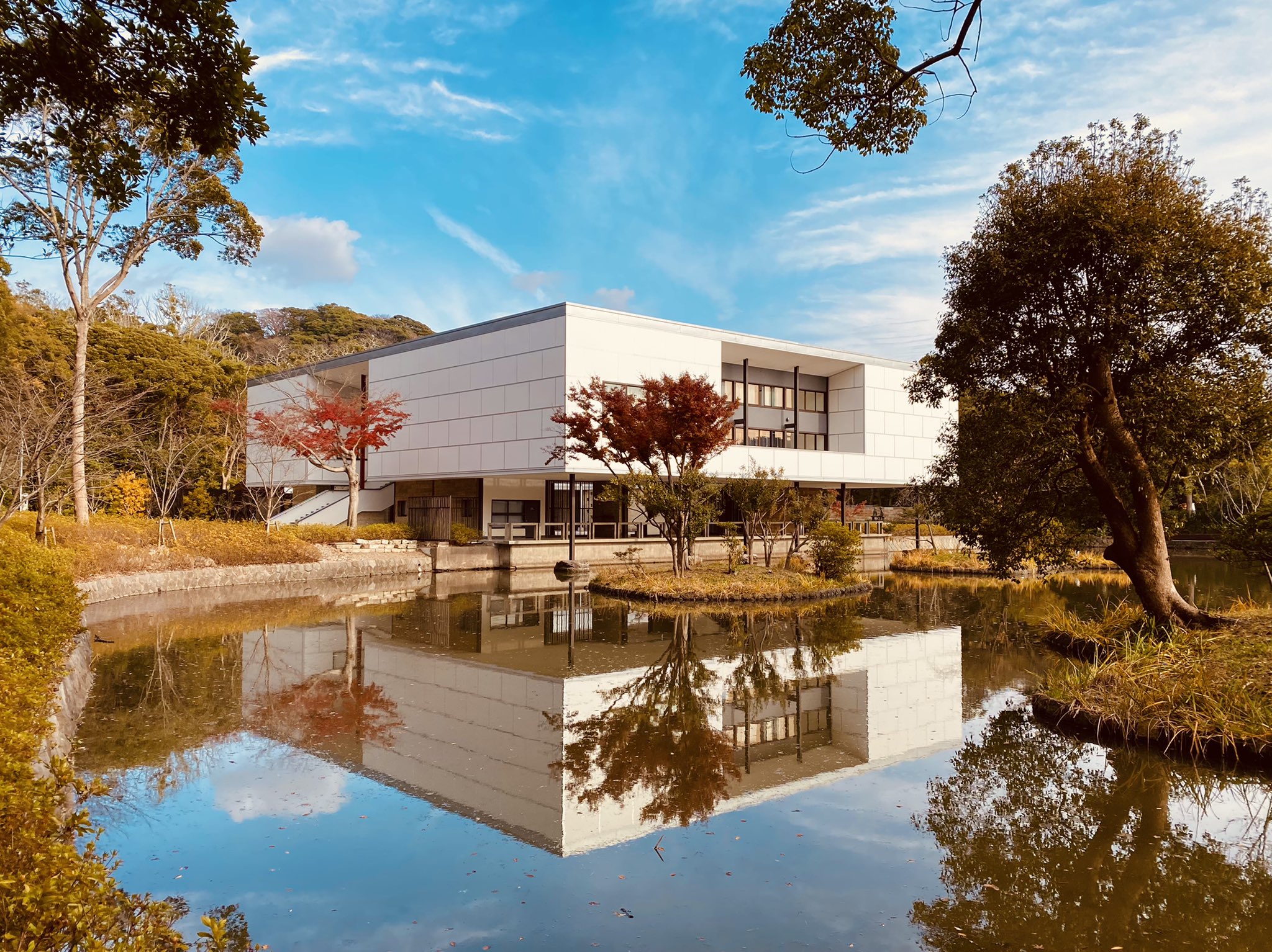 See Mk S Tweet Twitter