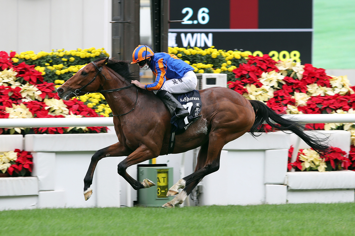 Hkjc Racing On Twitter Ireland S Mogul Continues Aidan O Brien And Ryan Moore S Successful Connection With The Longines Hong Kong Vase Hkir Hkracing Leoschlink Writes Read Here Https T Co A4lodhopxz Https T Co Zd6lryfzaa