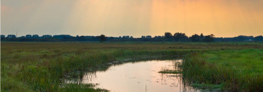 STOWAwater's tweet photo. Herziene uitgave Handboek Geomorfologisch Beekherstel. Van theorie naar toepassen in de praktijk en met Geulpatroonvoorspeller @https://www.stowa.nl/nieuws/herziene-uitgave-handboek-geomorfologisch-beekherstel @WUR   @WURenvironment https://t.co/LJ4vwacG84