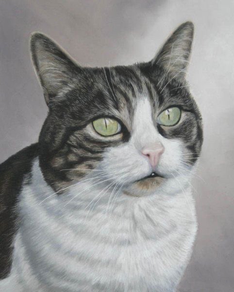 Two toneThese allow the energy of wisdom, understanding and common sense!