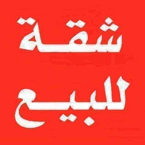 ALSALTANAre's tweet photo. للبيع شقة تتكون من 3 غ و 3 ح وغرفة خادمة وصالة ومطبخ دور أول تجاري سكني وتطابق قرض التسليف للمرأة 

مؤجرة صافي 400 دك 

بمنطقة حولي 

مراجعة 100 الف 

للاستفسار:
67776840
65100330 https://t.co/9tGzbH7xiX