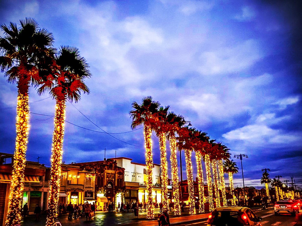 LauraCPhoto's tweet image. Celebrating Christmas 🎄 in lockdown mode by the sea in Tuscany🙏 #ChristmasTrees #versilia #positiveenergy #christmaslights