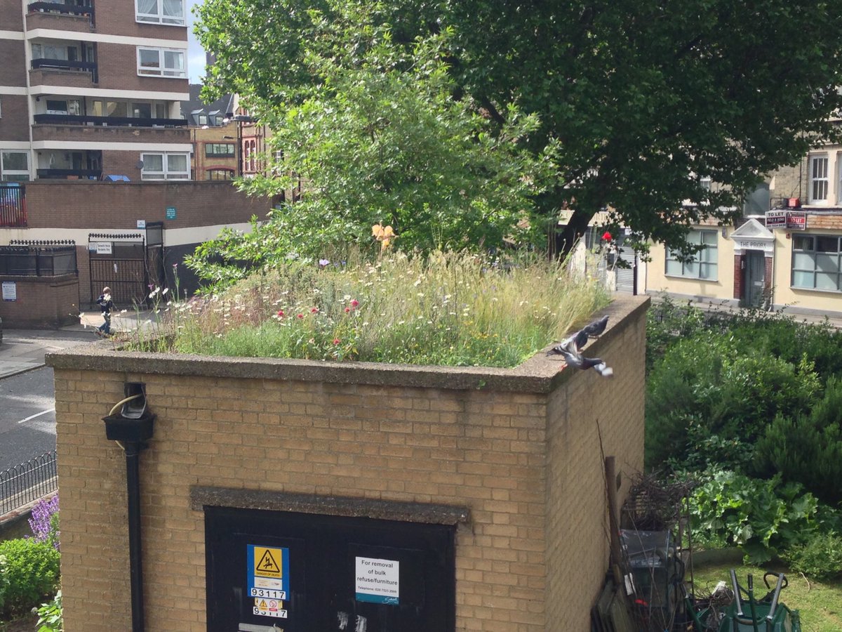 We chucked soil and plants onto this south london sub station roof back in 2009.  Lots more of these in London?:)