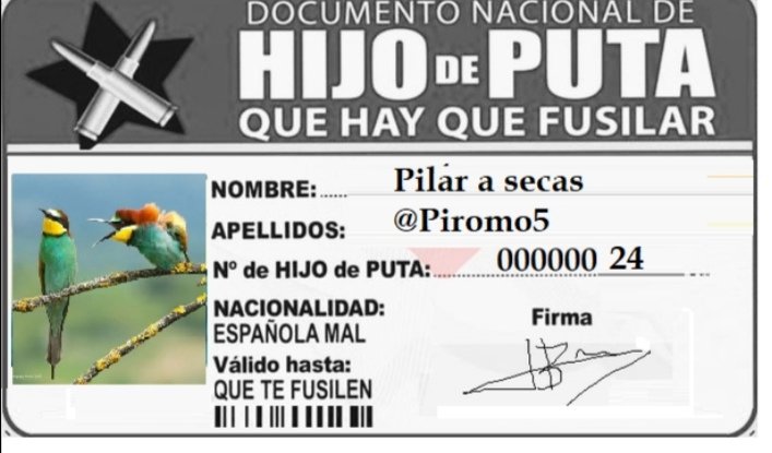 Pilar a secas❤️💛💜 tweet media