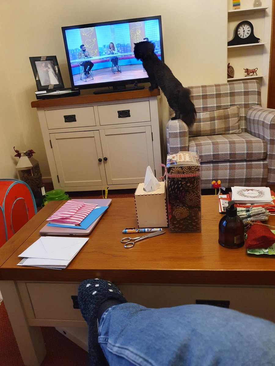 DianeFerrier3's tweet photo. @SundayBrunchC4 Effie watches Sunday Brunch.. https://t.co/B2fefjlo50