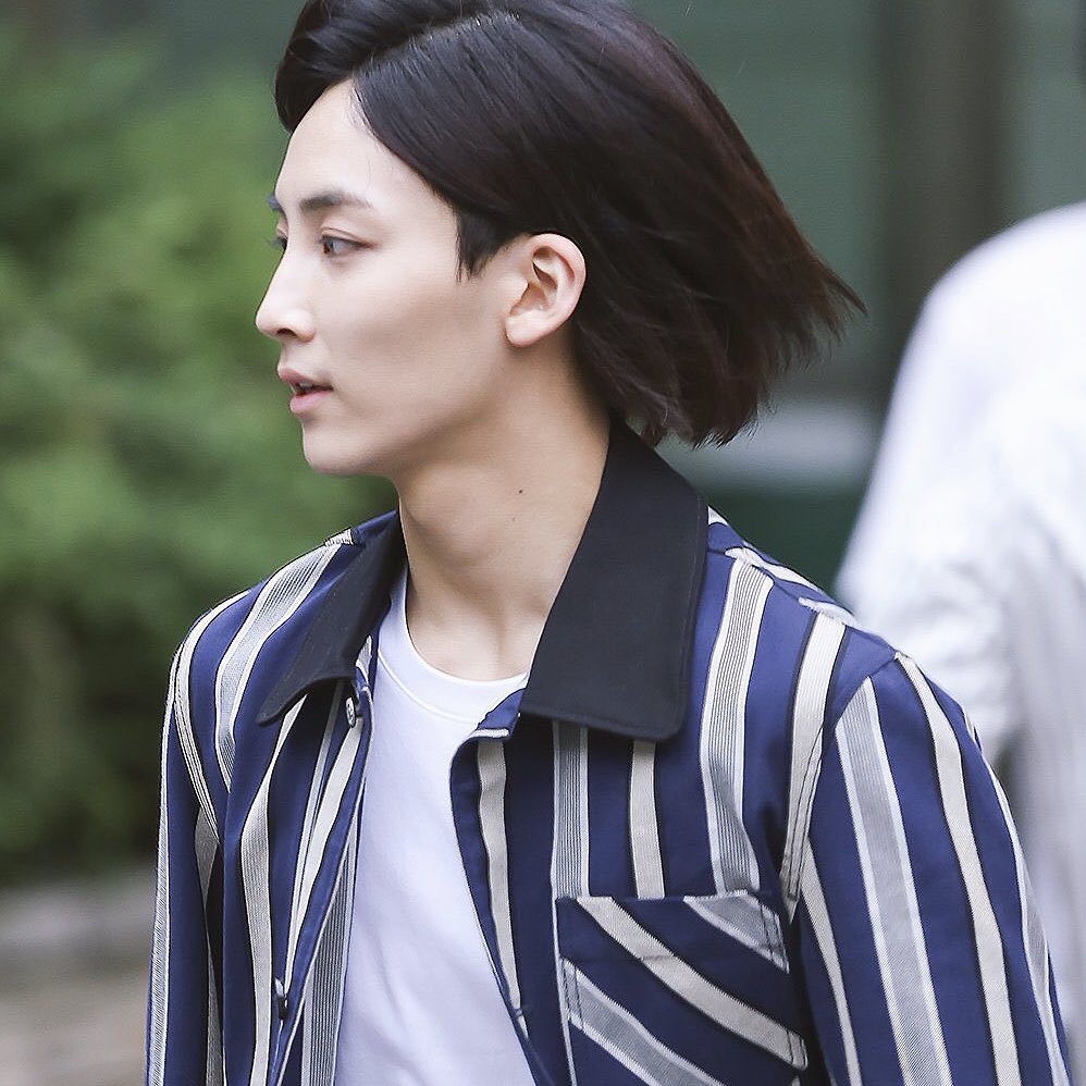 4. Jeonghan as Howl Jenkins Pendragon (Howl's Moving Castle)