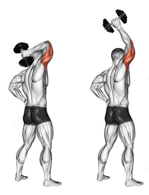 TRICEP1. overhead tricep extension2. rope tricep pushdown3. tricep dips4. tricep pushdown