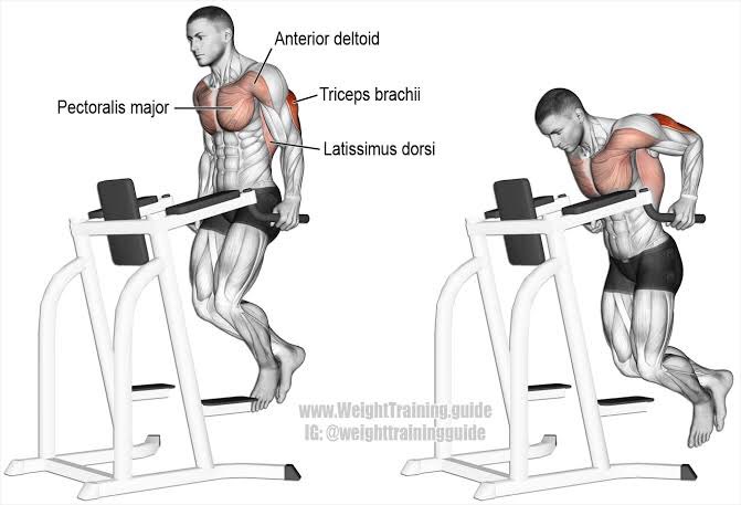TRICEP1. overhead tricep extension2. rope tricep pushdown3. tricep dips4. tricep pushdown