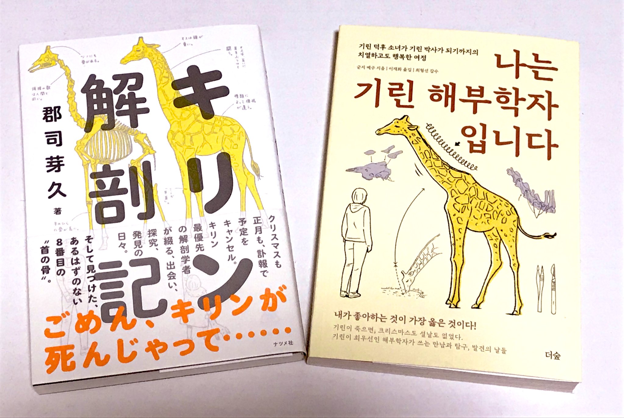 すー きなりfriends Ginger ハングルは発音記号的なところがあるので意味は でも何とか読めますﾖ 電子辞書でぽつぽつ調べたり 中国語は発音がむずかしいけど意味は漢字だから雰囲気は伝わるかしら Twitter