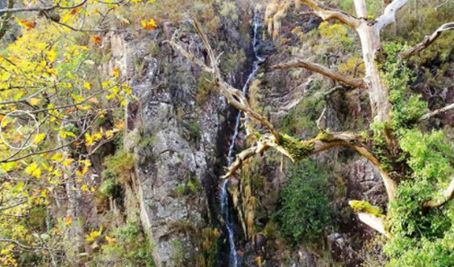 raiatermal's tweet photo. Cascadas en @raiatermal
La cascada #Leonte @m_terras_bouro: las aguas del arroyo Taleira, se precipitan desde un acantilado de roca granítica a 1⃣9⃣ metros, en el cauce del río Gerês.
Se ve desde la EN308-1 (Vila do Gerês - Portela do Homem), donde hay mirador
😃Después de 🌧️❄️ https://t.co/UpP4kUolfG